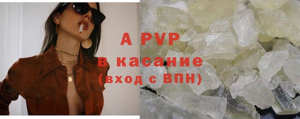 сатива Гусь-Хрустальный