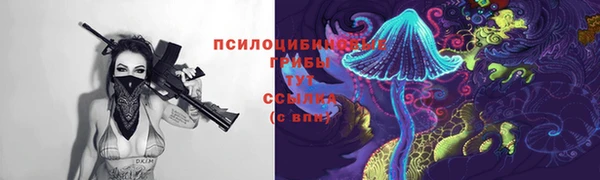 сатива Гусь-Хрустальный