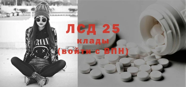 spice Горняк