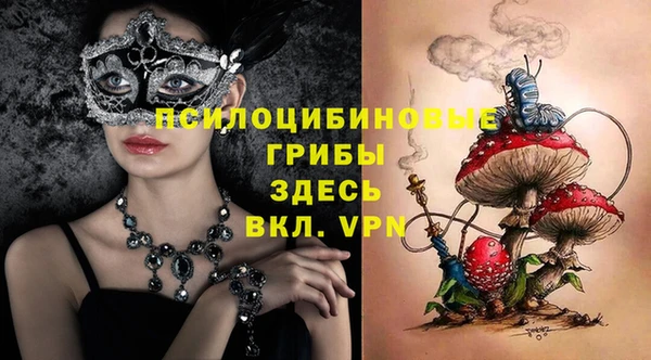 спиды Горно-Алтайск