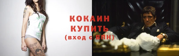 сатива Гусь-Хрустальный