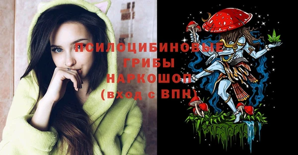 spice Горнозаводск
