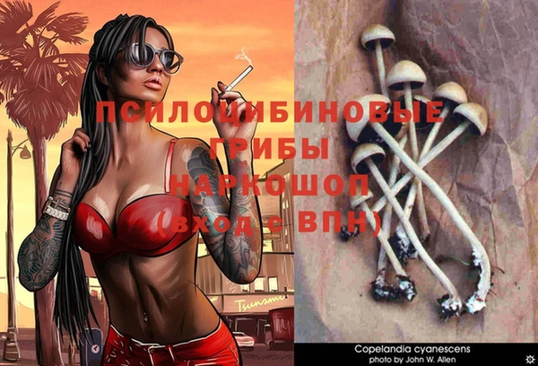 spice Горняк